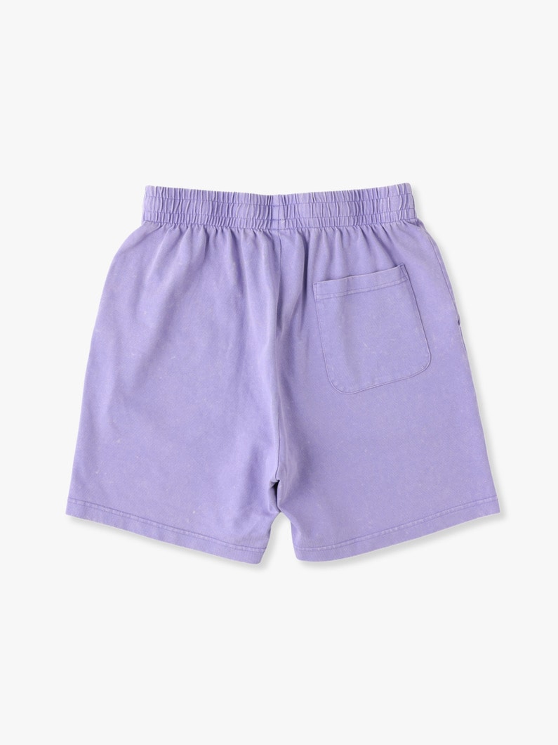 Wet Ozon Shorts 詳細画像 purple 1