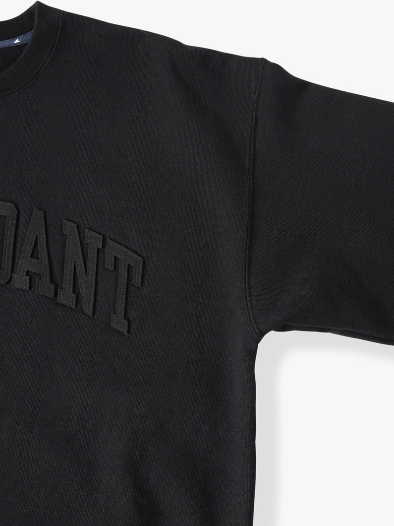 Team Sweat Pullover（black） 詳細画像 black 2