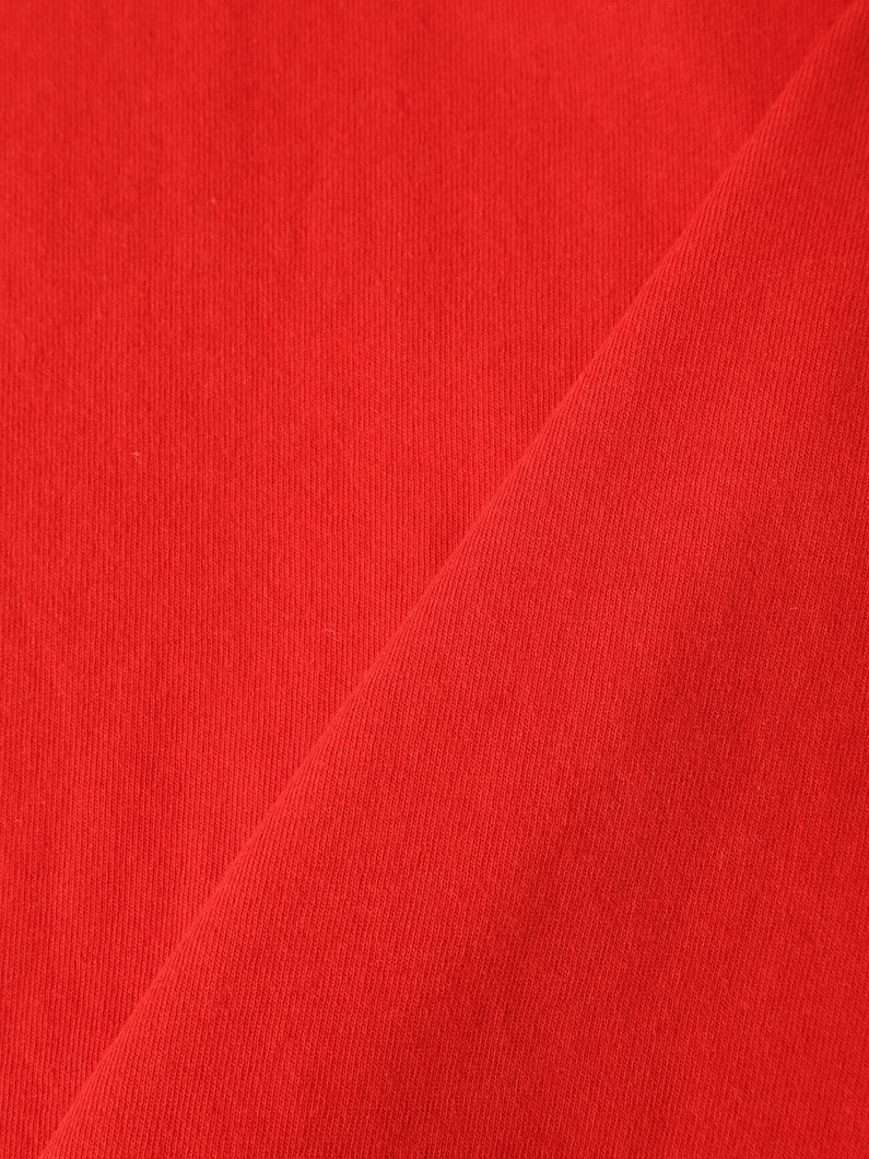 Logo Long Sleeve Tee（VOLCOM） 詳細画像 red 5