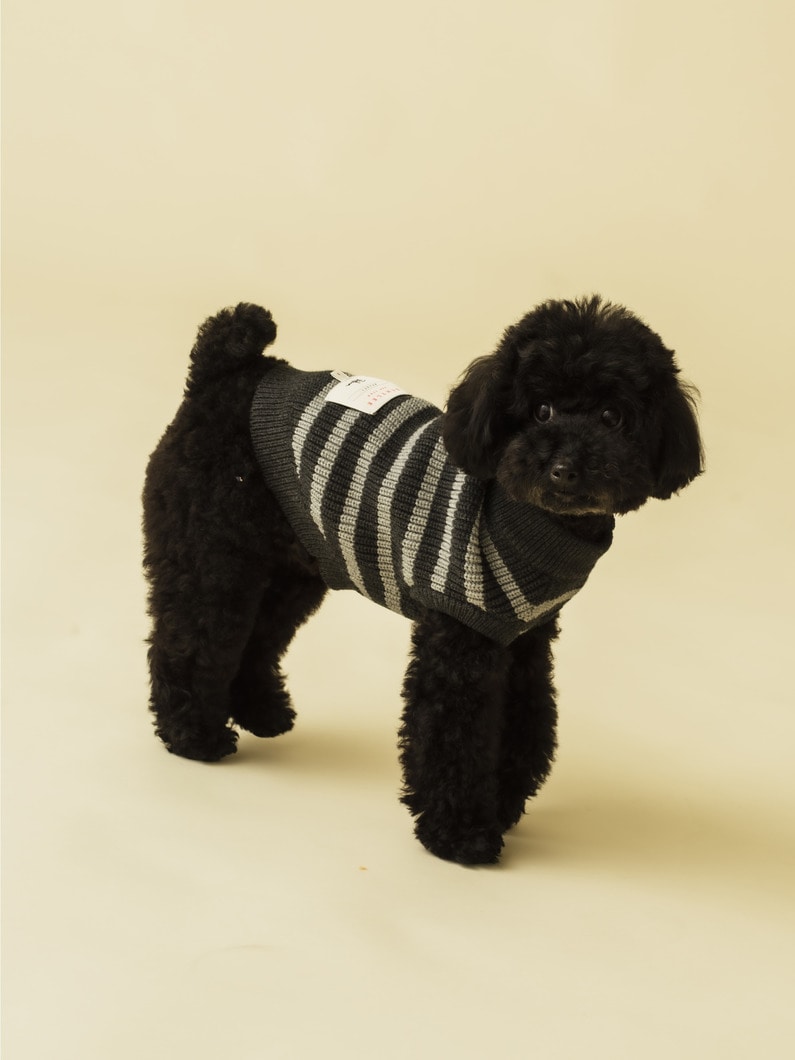 Dog Coco Sweater 詳細画像 gray