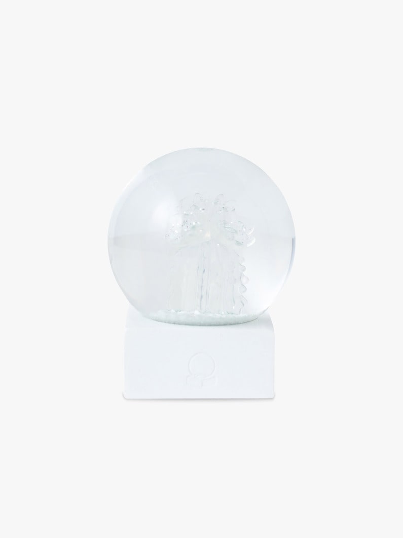 Clear Mini Cactus Snow Globe Set | スノードーム 詳細画像 clear 1