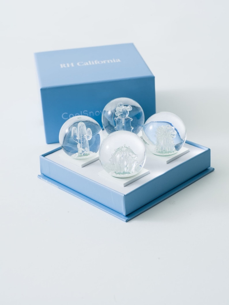 Clear Mini Cactus Snow Globe Set | スノードーム 詳細画像 clear 2