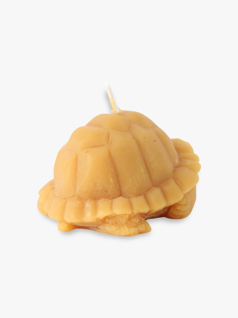 Turtle Beeswax Candle | インテリア 詳細画像 other 1