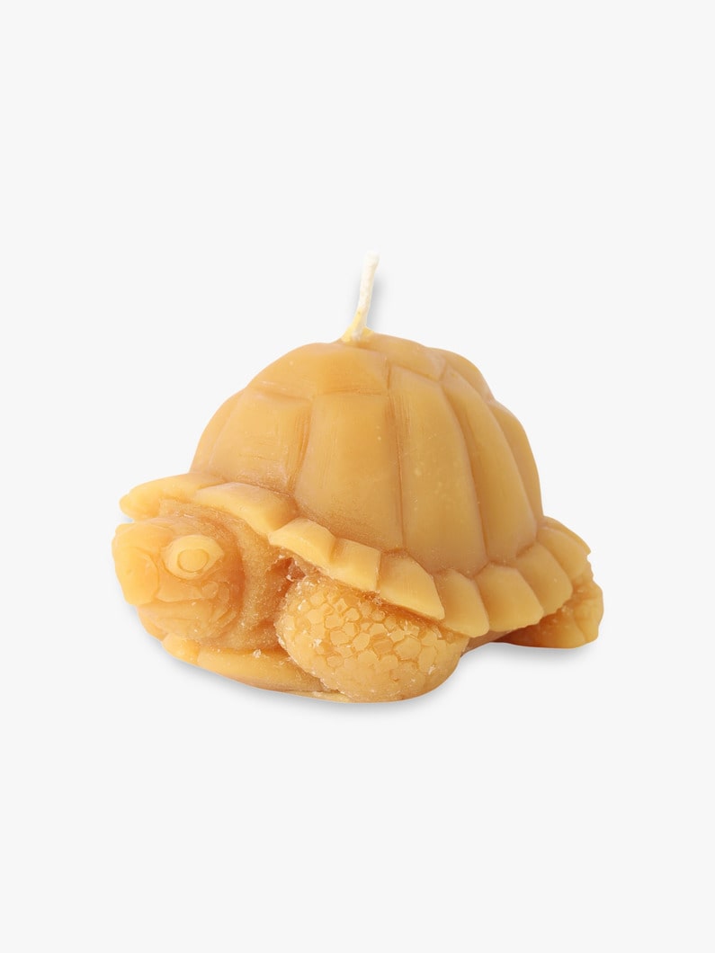 Turtle Beeswax Candle | インテリア 詳細画像 other 1