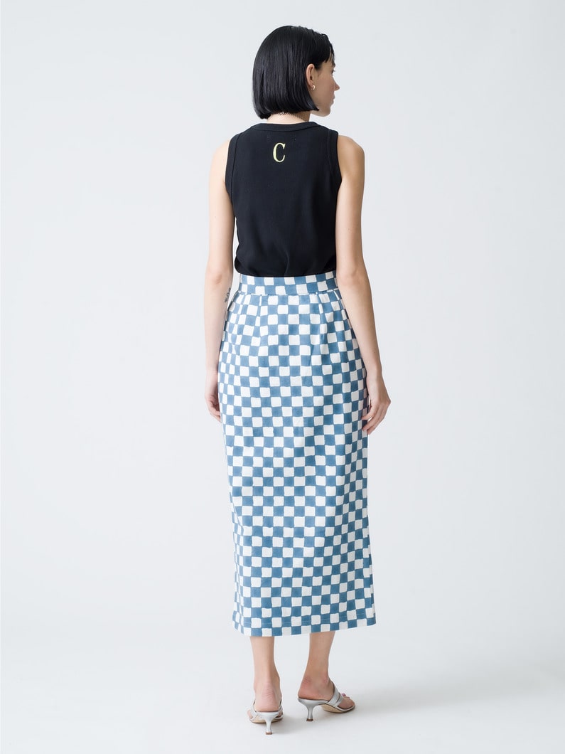Double Checked Print Canvas Skirt  詳細画像 blue 2