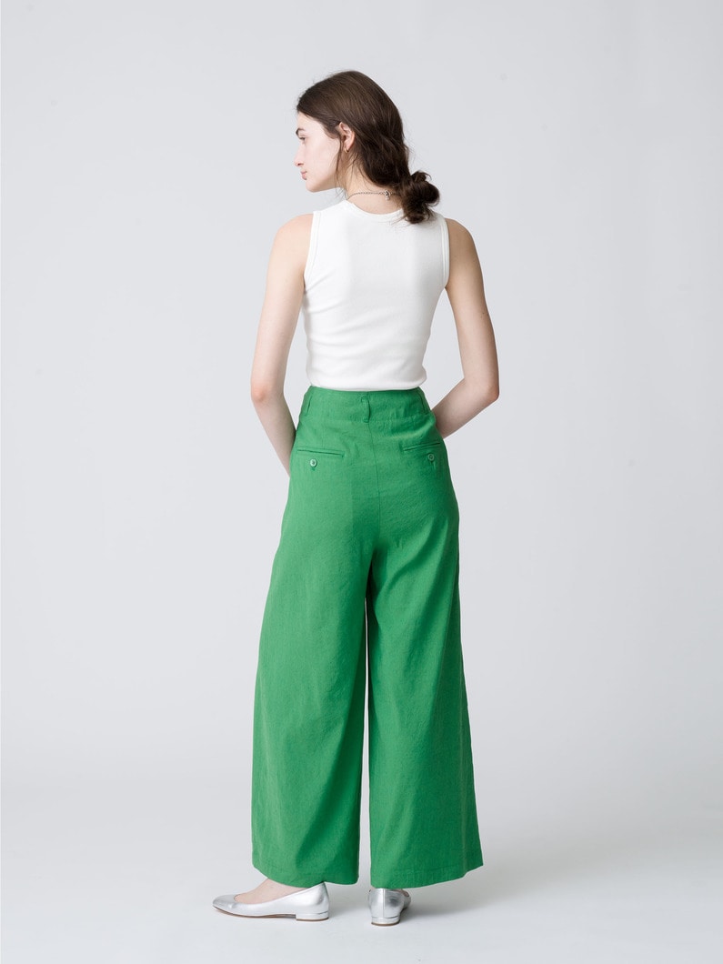 Linen Rayon Stretch Wide Pants 詳細画像 green 2