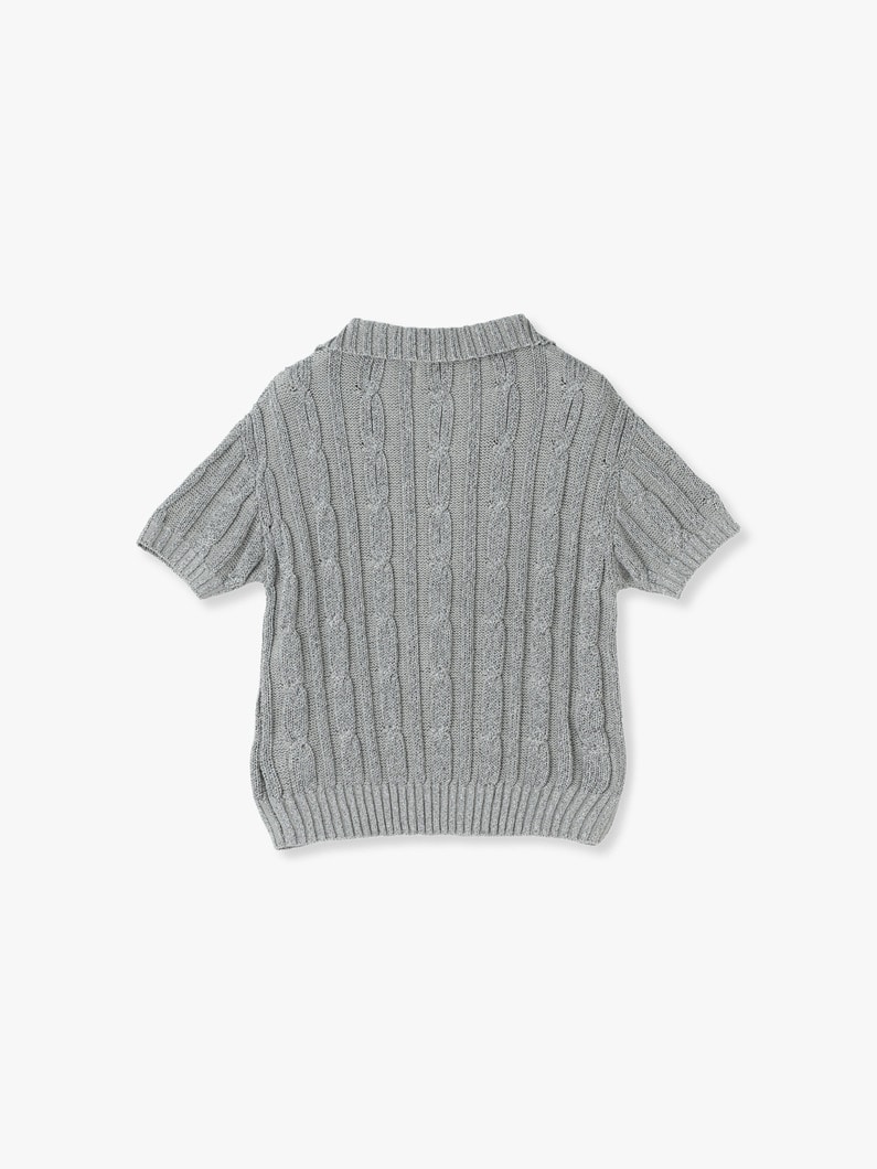 Lame Thread Knit Polo Top 詳細画像 gray 1