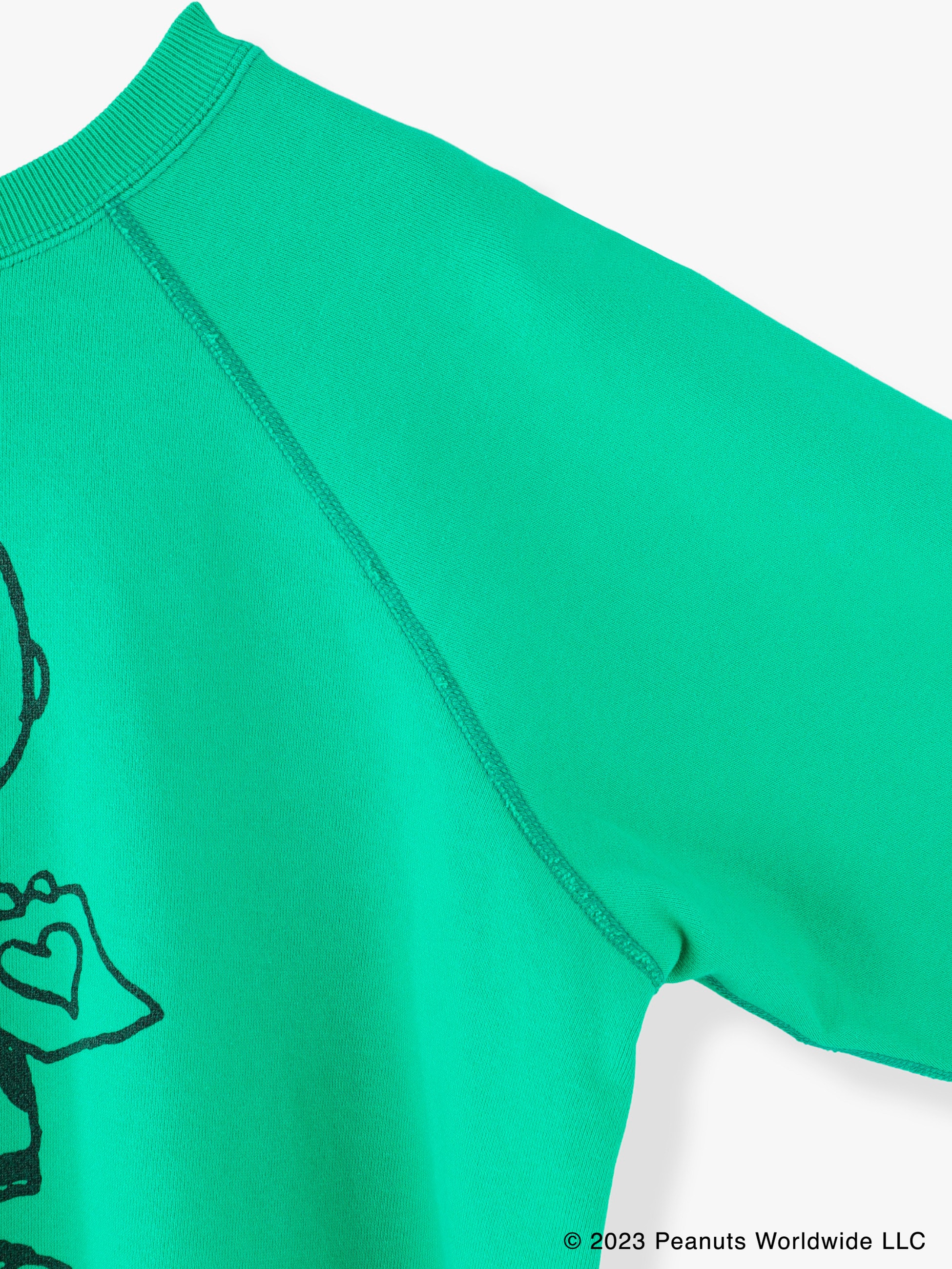 Charlie Brown Sweat Shirt 詳細画像 green 2