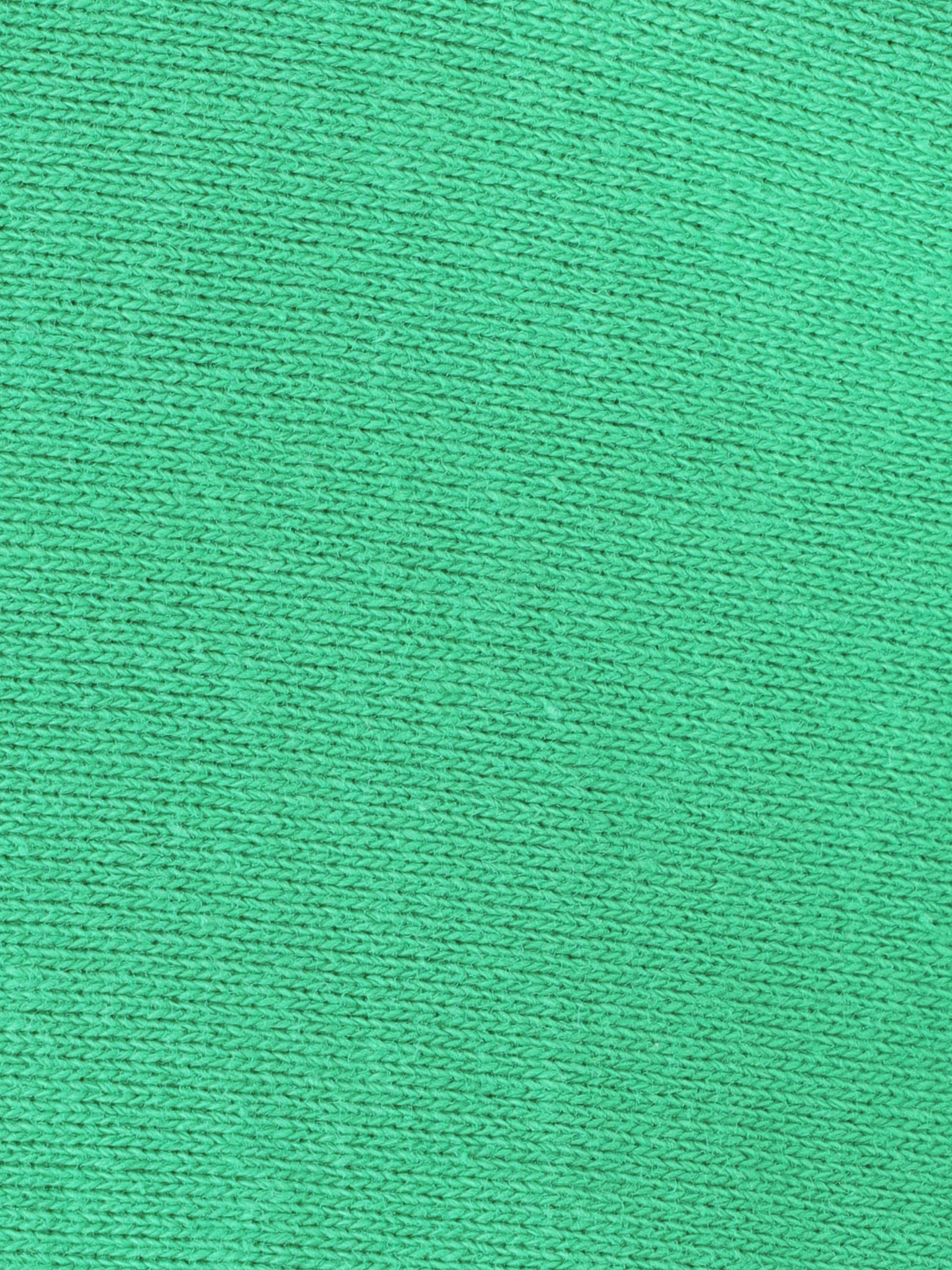 Charlie Brown Sweat Shirt 詳細画像 green 3
