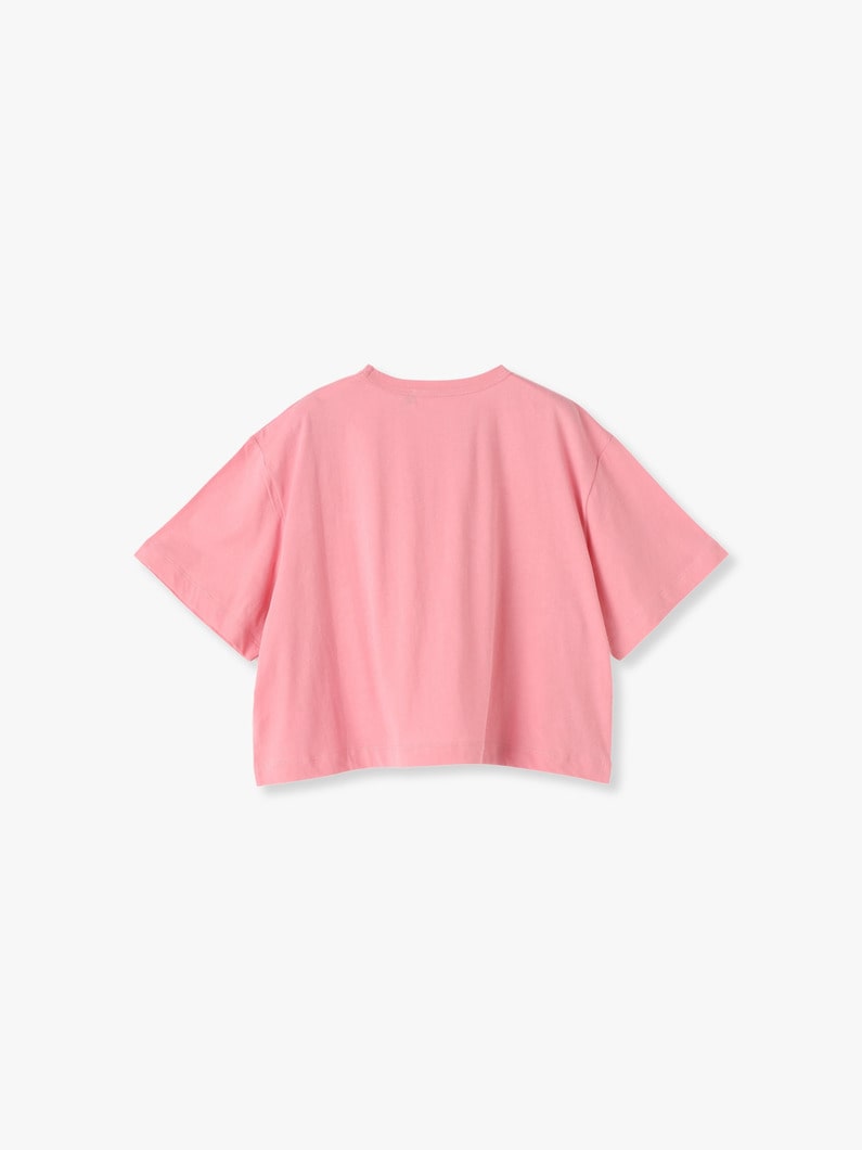 Cropped Tee (pink/red/black) 詳細画像 pink 1