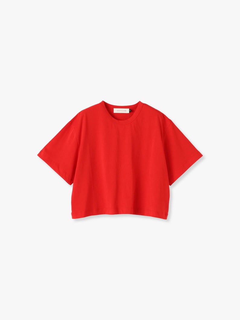 Cropped Tee (pink/red/black) 詳細画像 red