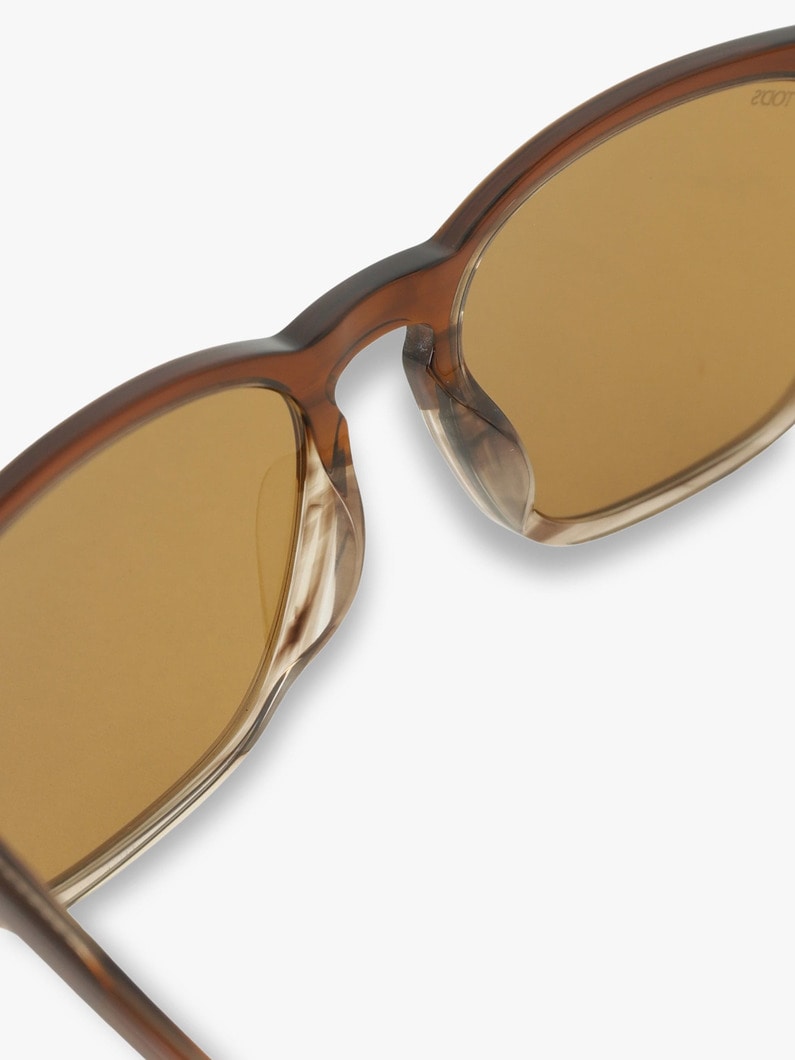 Sunglasses (TO0335) 詳細画像 brown 3