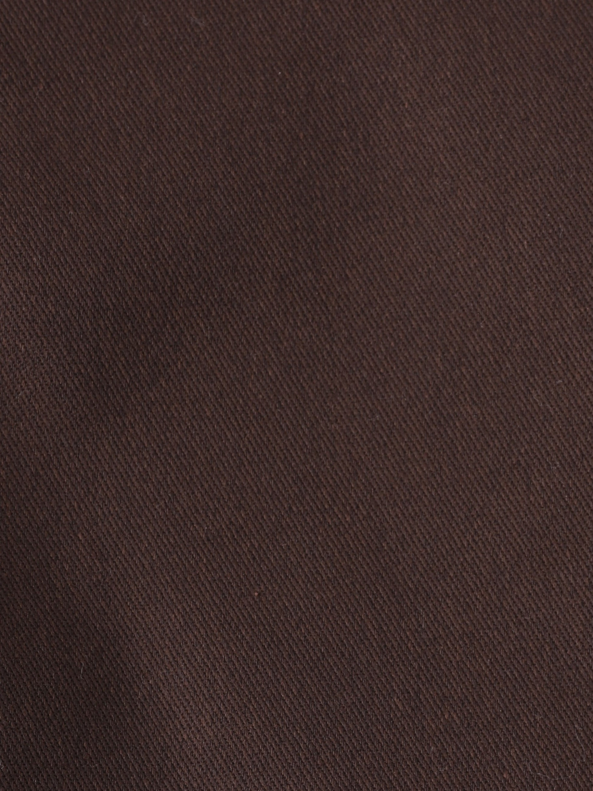 Flannel Lining Work Chino Pants 詳細画像 dark brown 4