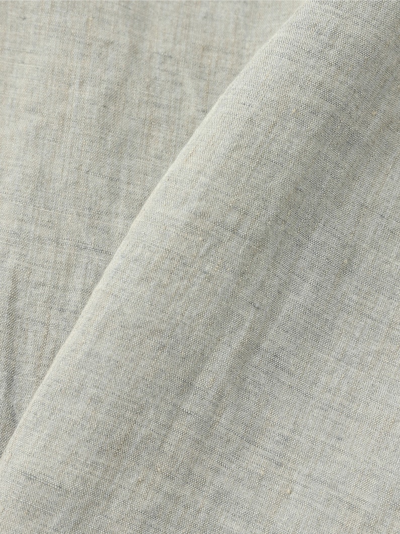 Albini Delave Linen Shirt 詳細画像 beige 3