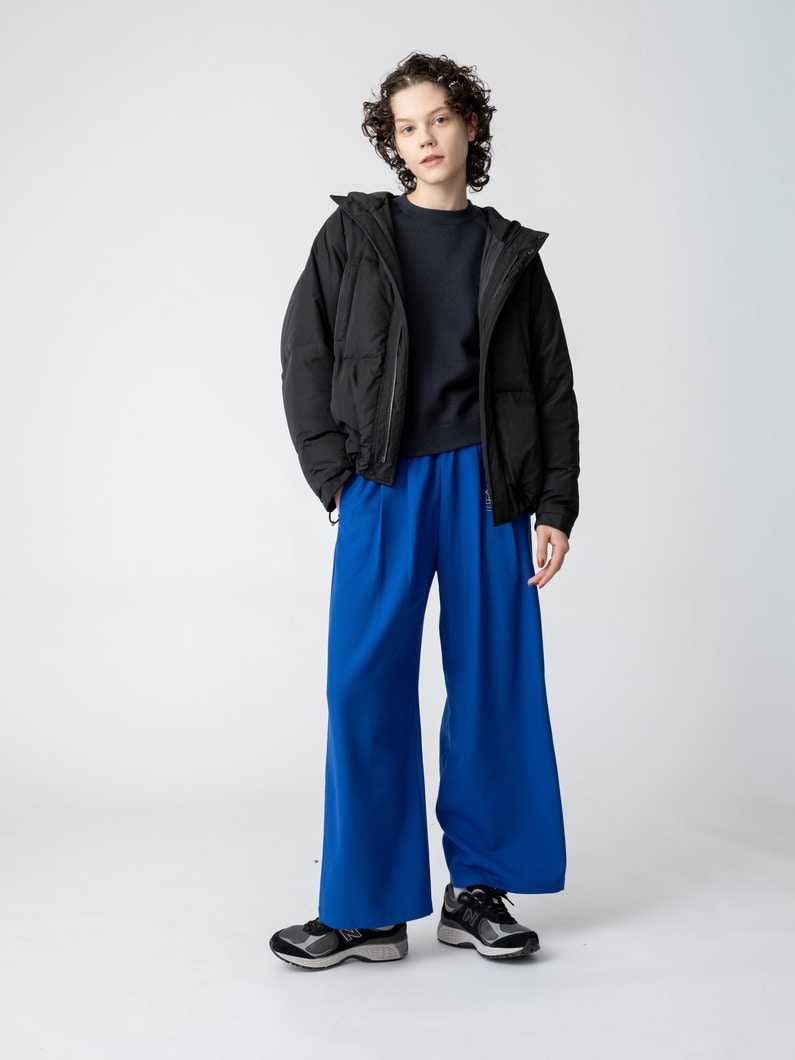 ハイカウント タフタ ダウンショートフーディー 詳細画像 black 3