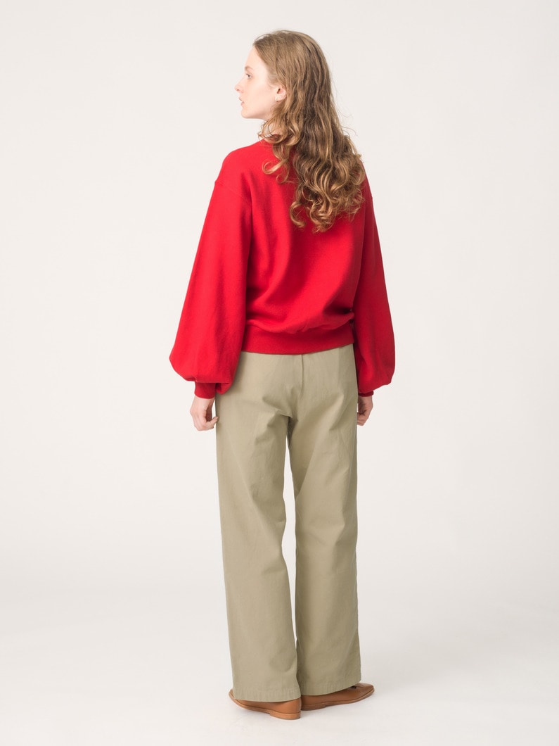 ダック チノパンツ（ベージュ/ブラウン） 詳細画像 beige 2