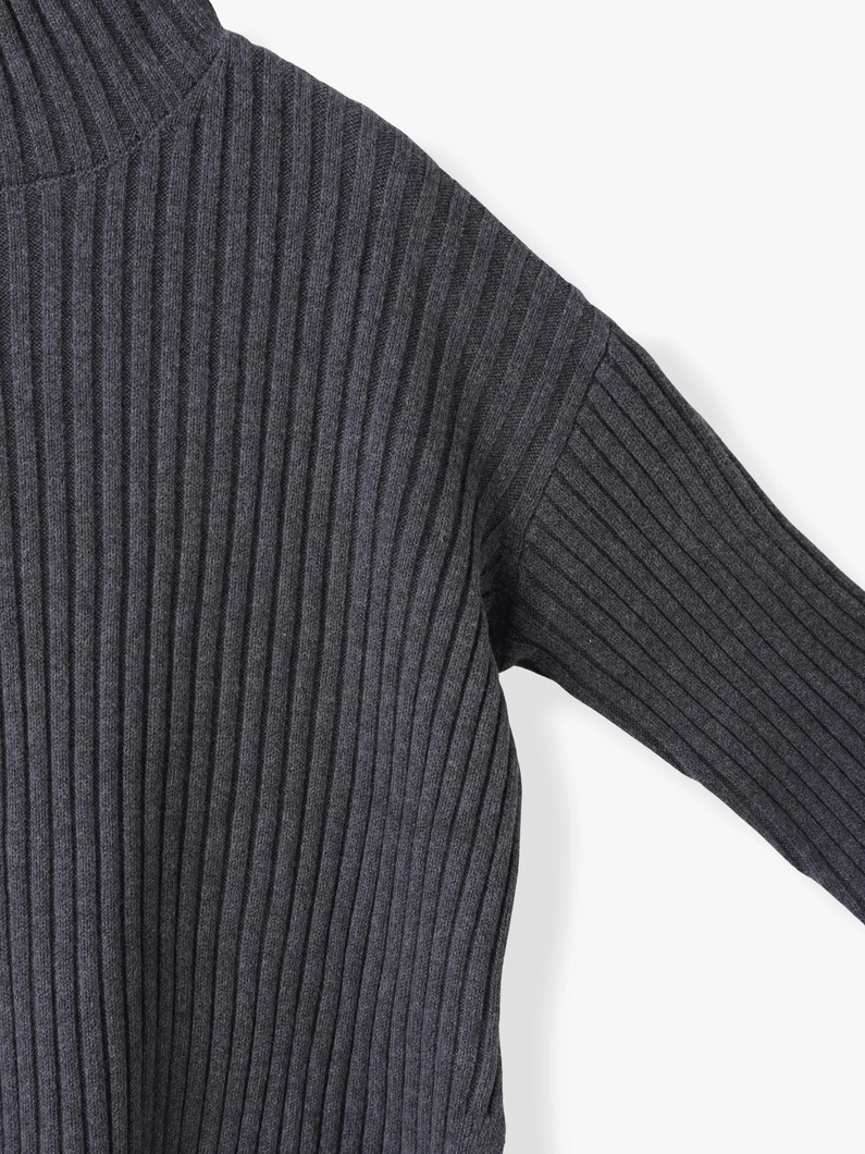 エアーコットン リブタートルネック プルオーバー 詳細画像 red 2