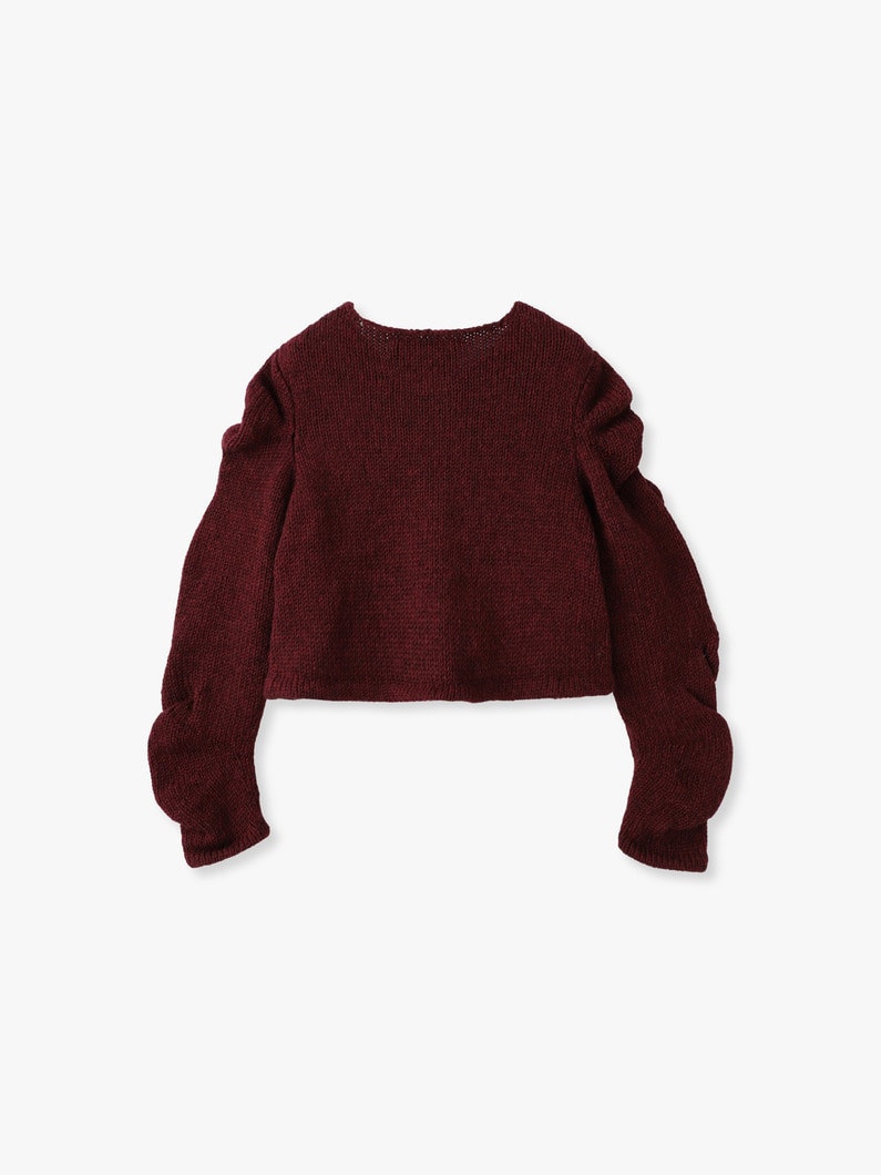 アンステイブル スリーブ カーディガン 詳細画像 burgundy 1