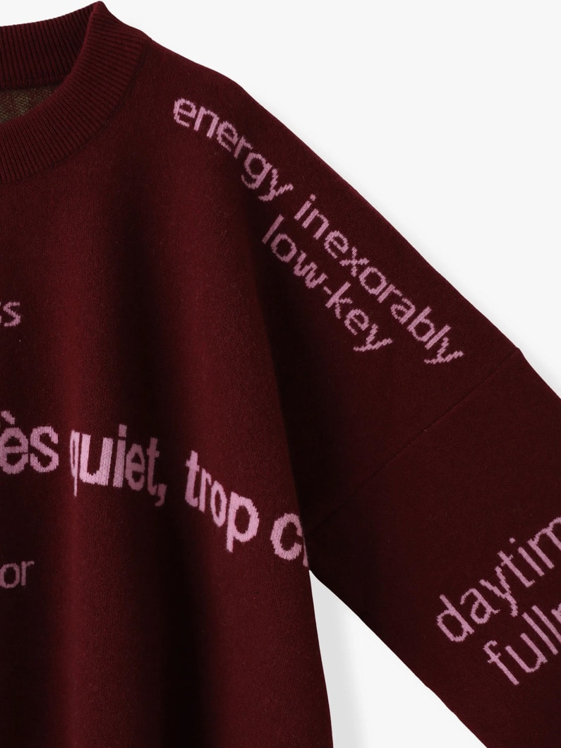 ダル チョダ ニット プルオーバー 詳細画像 burgundy 2