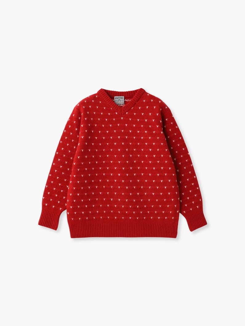 ショーン Vネック ニット プルオーバー 詳細画像 red