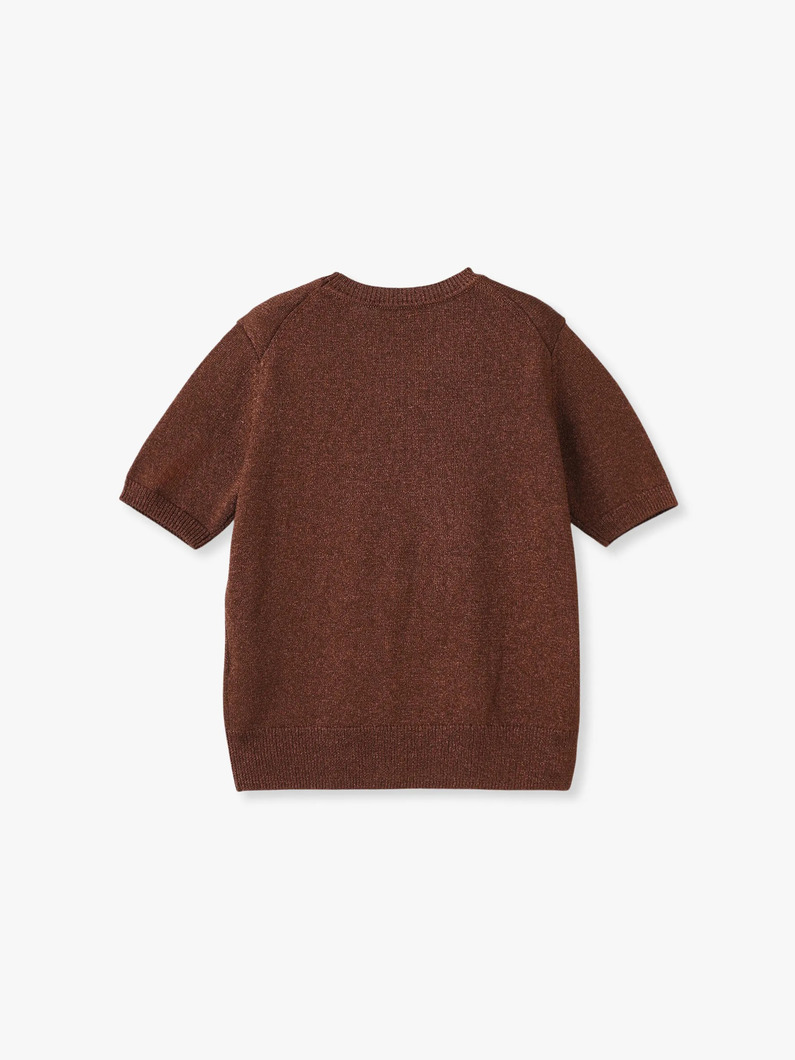 ブライトラメ リリヤーン ニットトップ（ブラウン） 詳細画像 brown 1