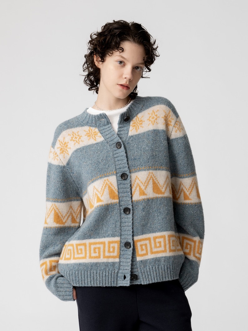 ジャガード ニット カーディガン 詳細画像 blue 1