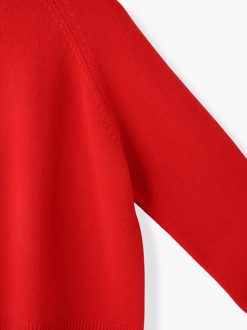 ミドルゲージ カシミア タートルネックプルオーバー 詳細画像 red 2