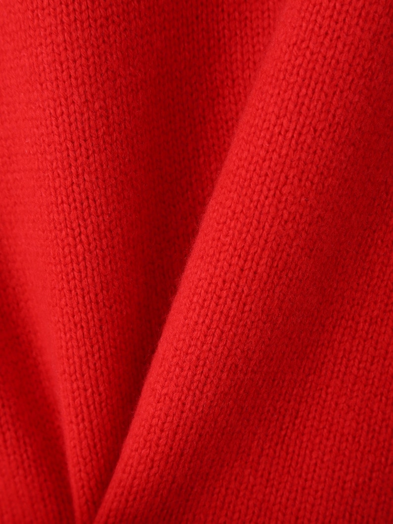 ミドルゲージ カシミア タートルネックプルオーバー 詳細画像 red 3