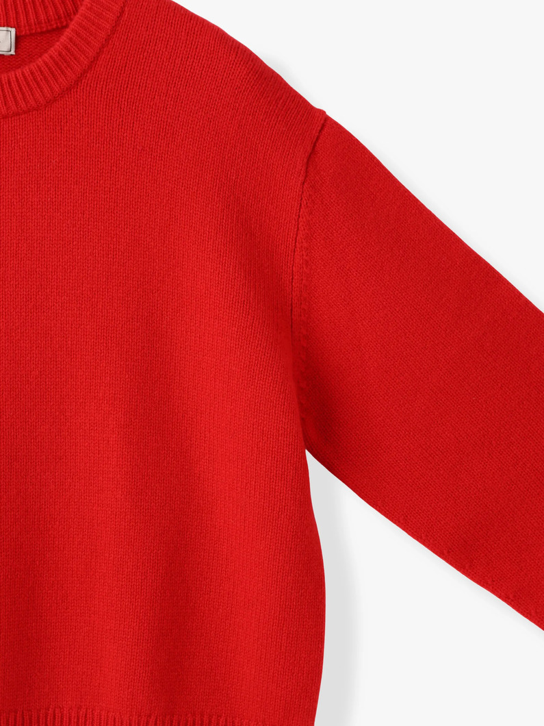 ミドルゲージ カシミア ニット プルオーバー 詳細画像 red 2