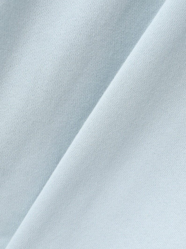 ウォーリサム エンブロイダリー スウェット プルオーバー 詳細画像 light blue 4