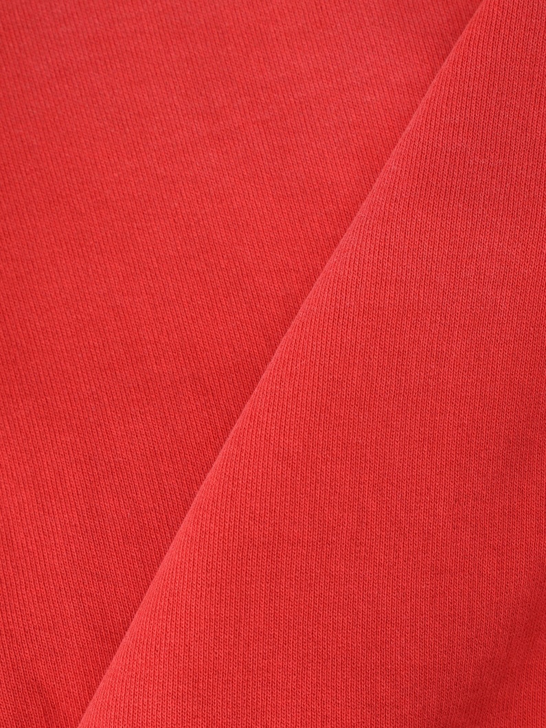 フルジップ スウェットフーディー 詳細画像 red 4
