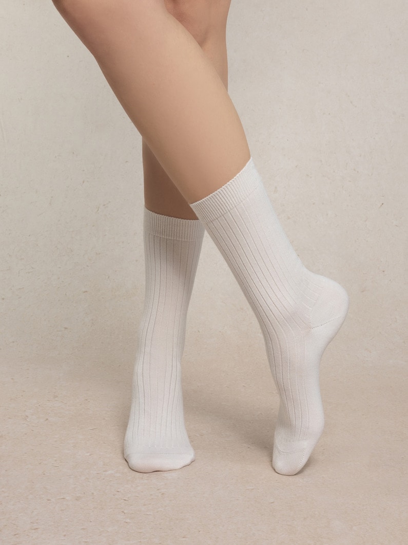 ウールシルク リブソックス 詳細画像 beige 1