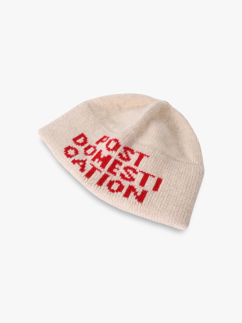 ポスト ドメスティケーション ビーニー 詳細画像 beige 2