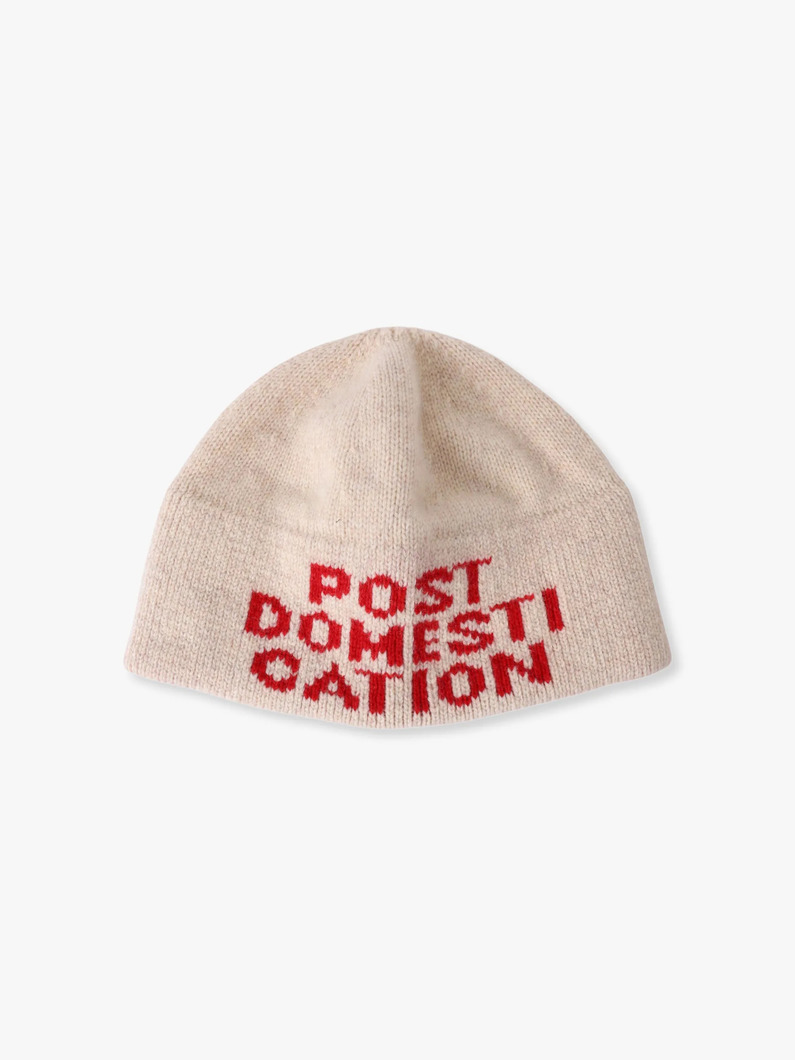 ポスト ドメスティケーション ビーニー 詳細画像 beige 1