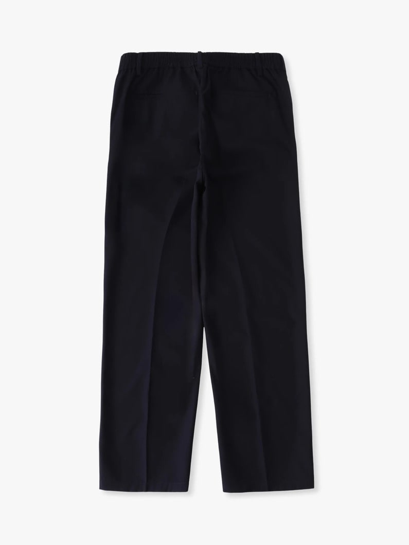 ブラッシュドギャバジン パンツ 詳細画像 navy 1