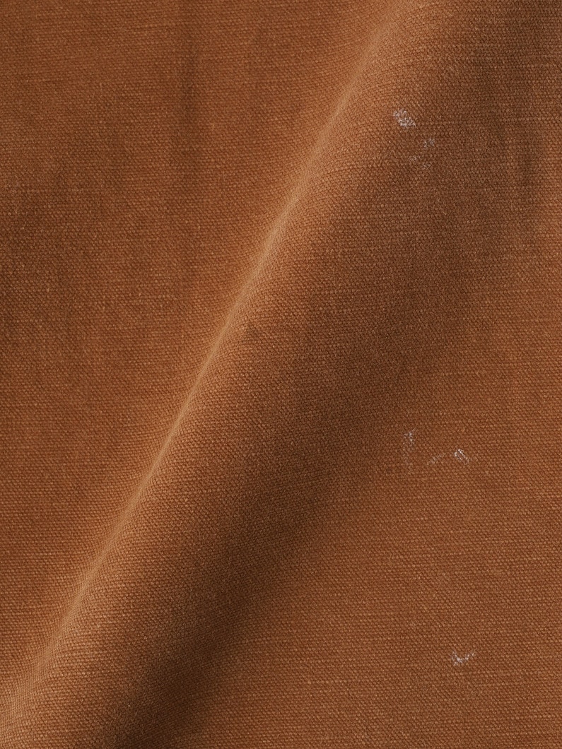 ダック ペインターパンツ 詳細画像 brown 5