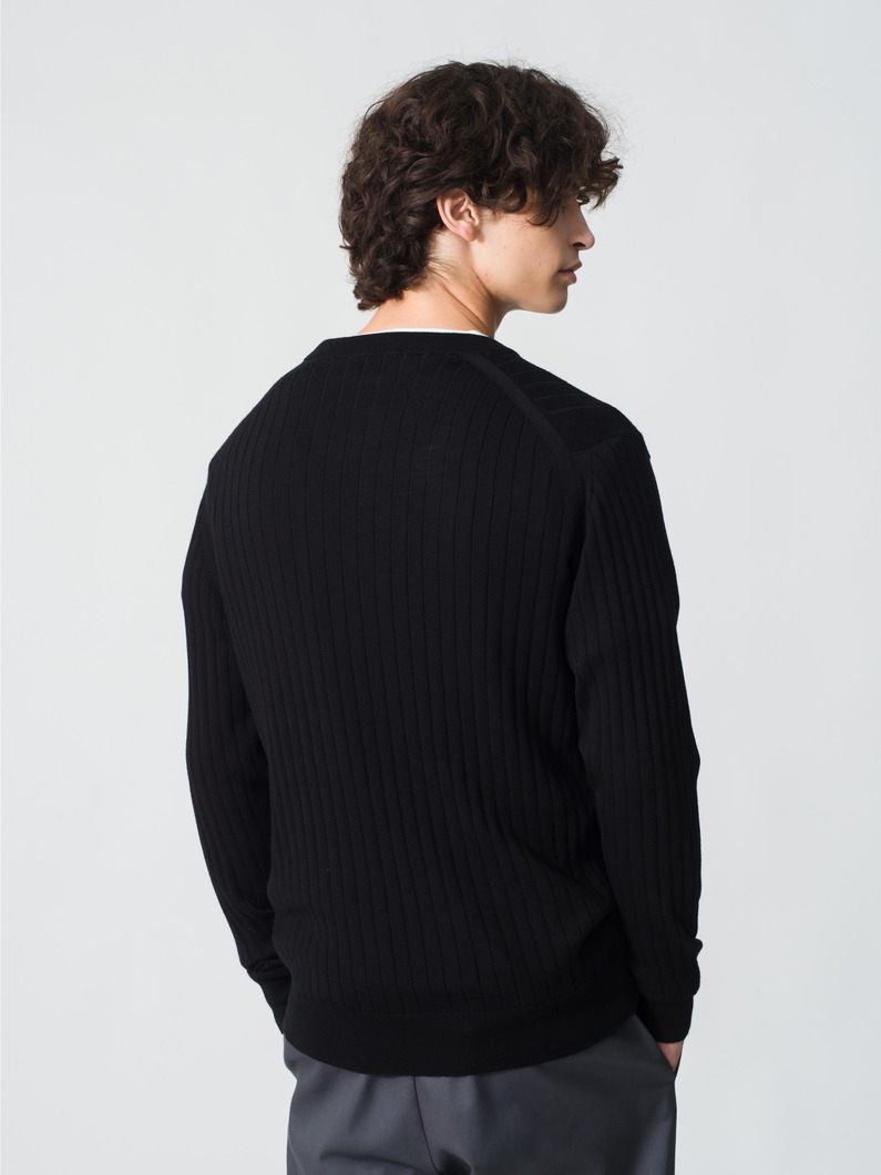 エクストラファイン メリノウールニット ヘンリーネックプルオーバー 詳細画像 black 2