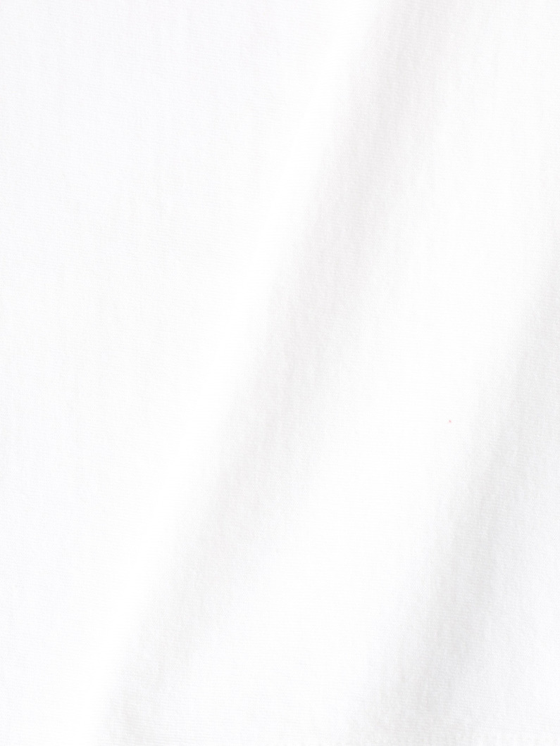US オーガニックコットン ティー 詳細画像 white 3