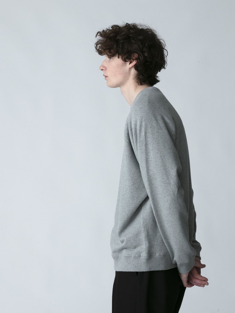 ラグランスリーブ スウェットプルオーバー 詳細画像 gray 2