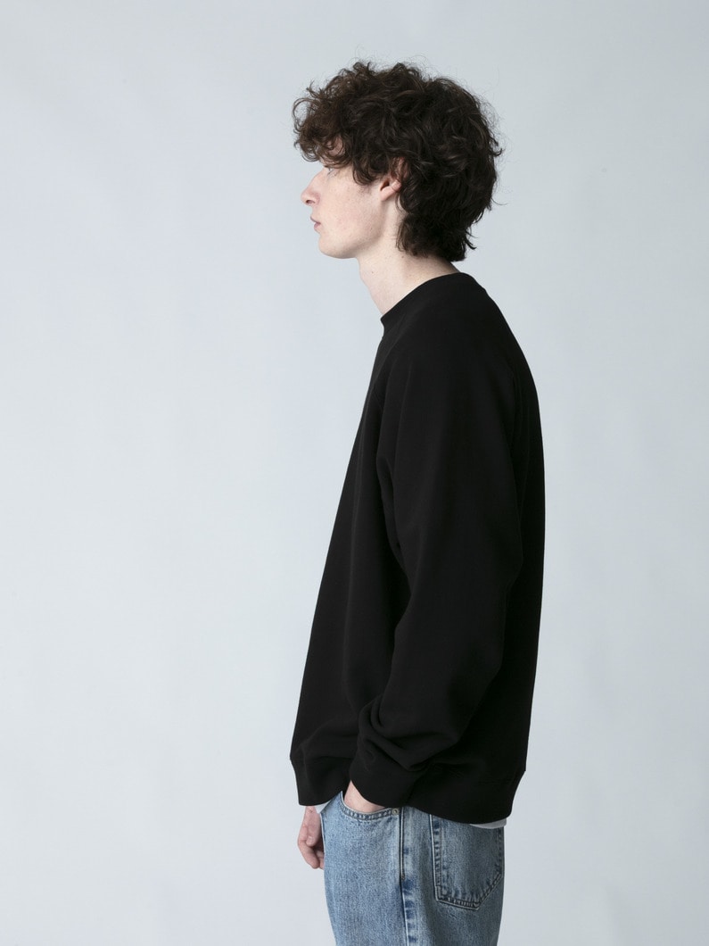 ラグランスリーブ スウェットプルオーバー 詳細画像 black 2