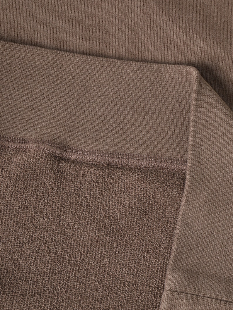 ラグラン スウェットプルオーバー 詳細画像 light brown 3