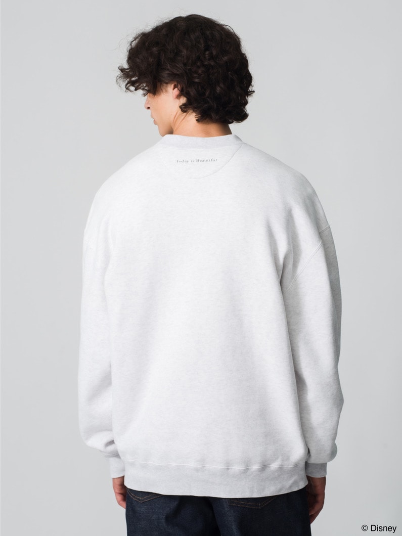 スウェットプルオーバー（シンデレラ） 詳細画像 gray 2