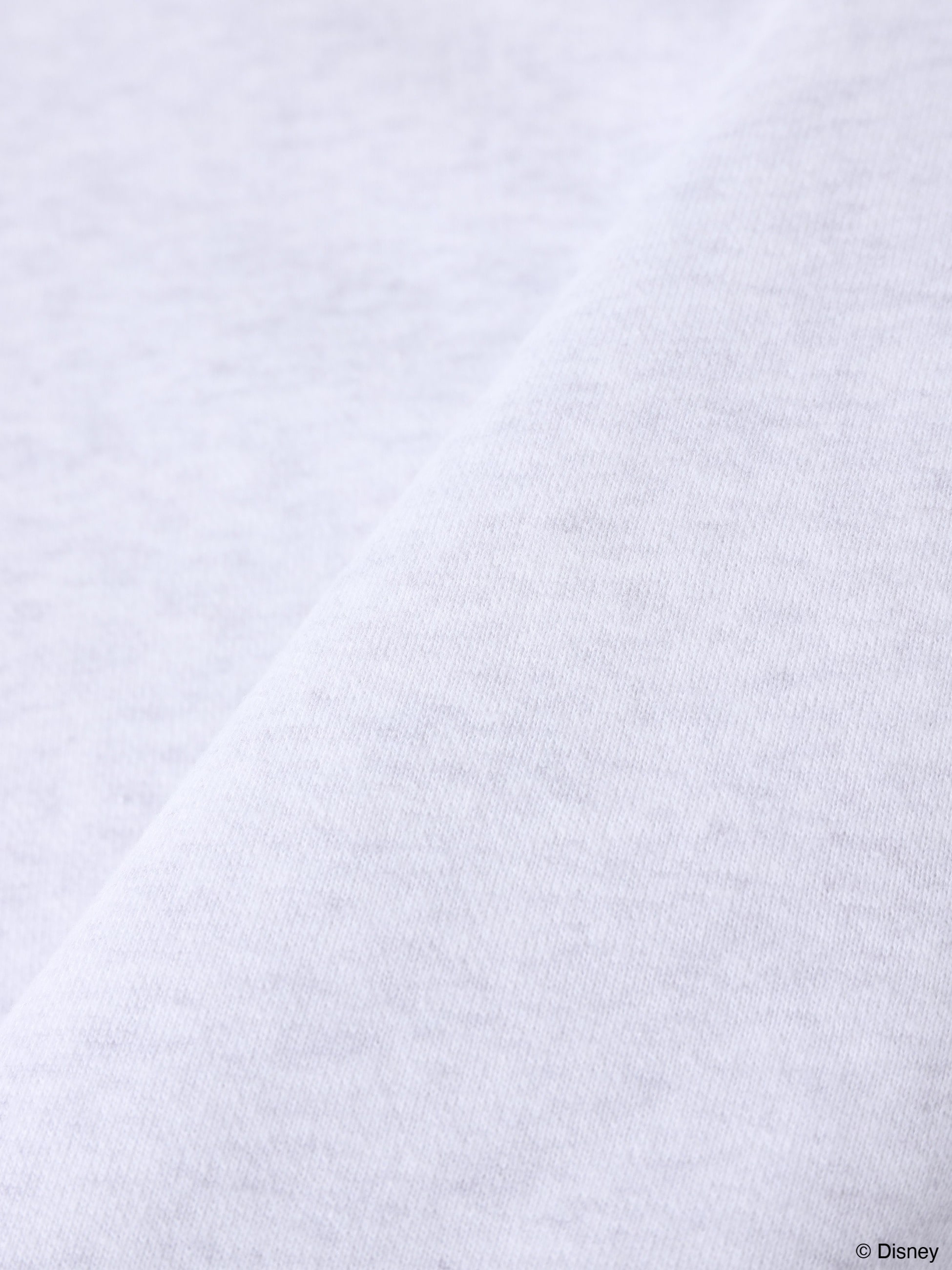 スウェットプルオーバー（ジャスミン）｜ARTIST TEE