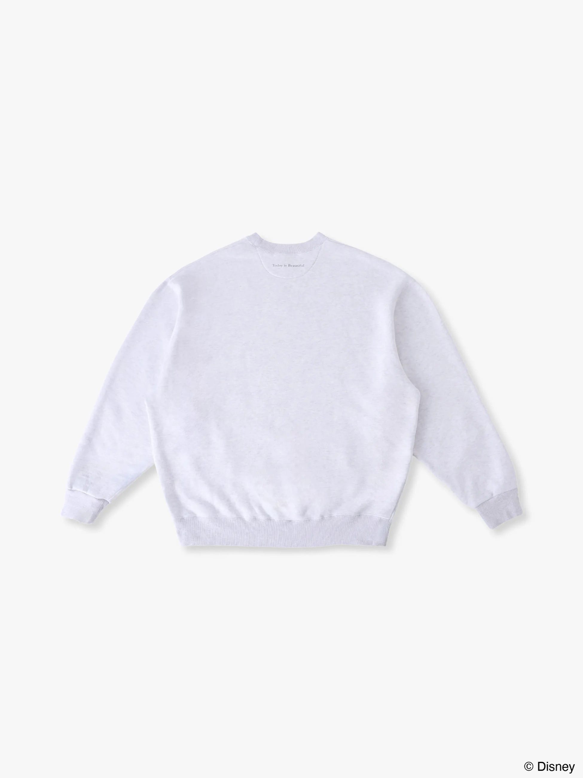 スウェットプルオーバー（ラプンツェル）｜ARTIST TEE(アーティスト