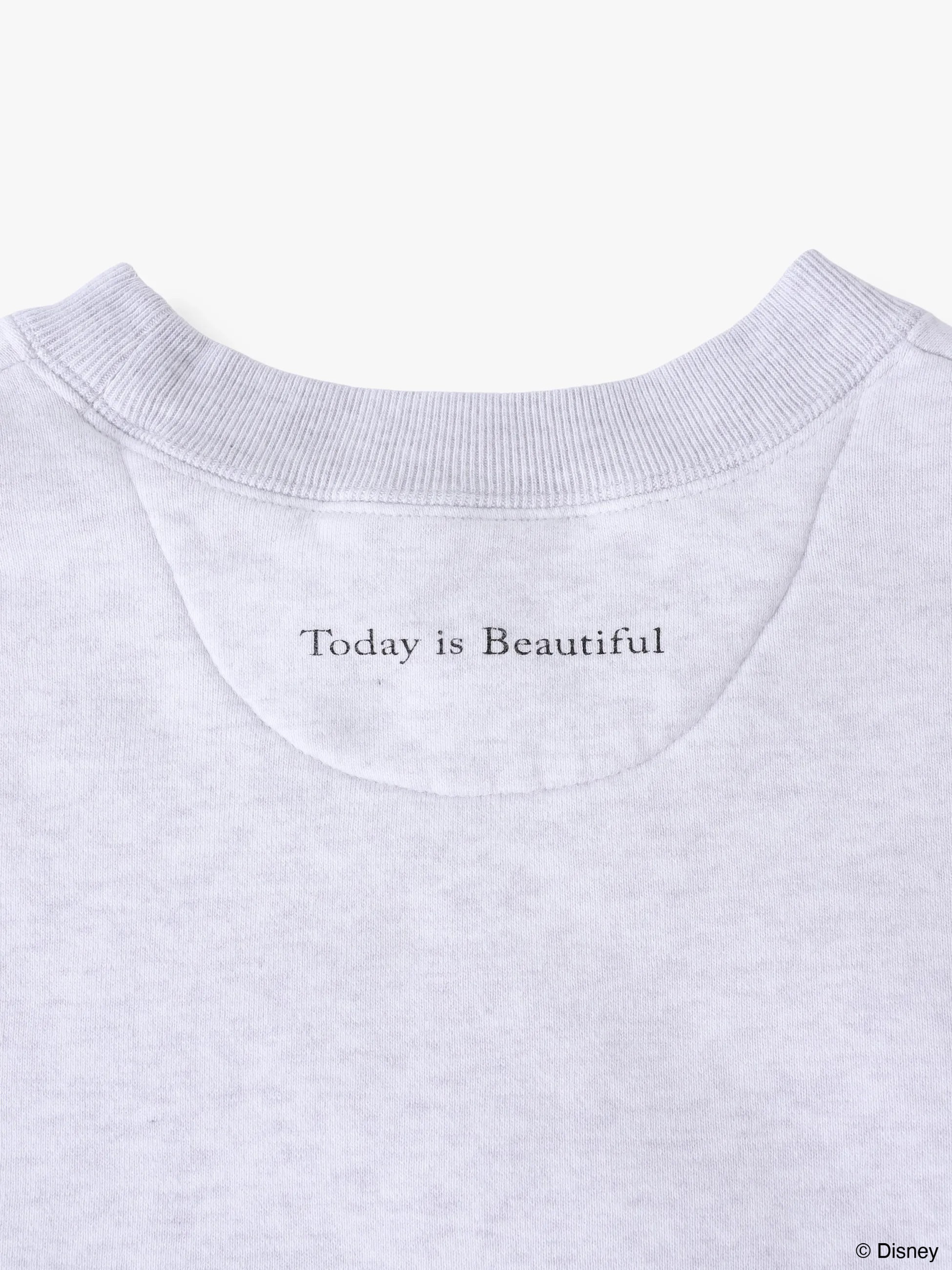 スウェットプルオーバー（ラプンツェル）｜ARTIST TEE(アーティスト