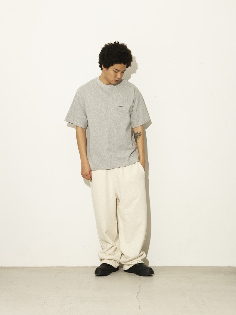 スタンダード ロゴティー 詳細画像 gray