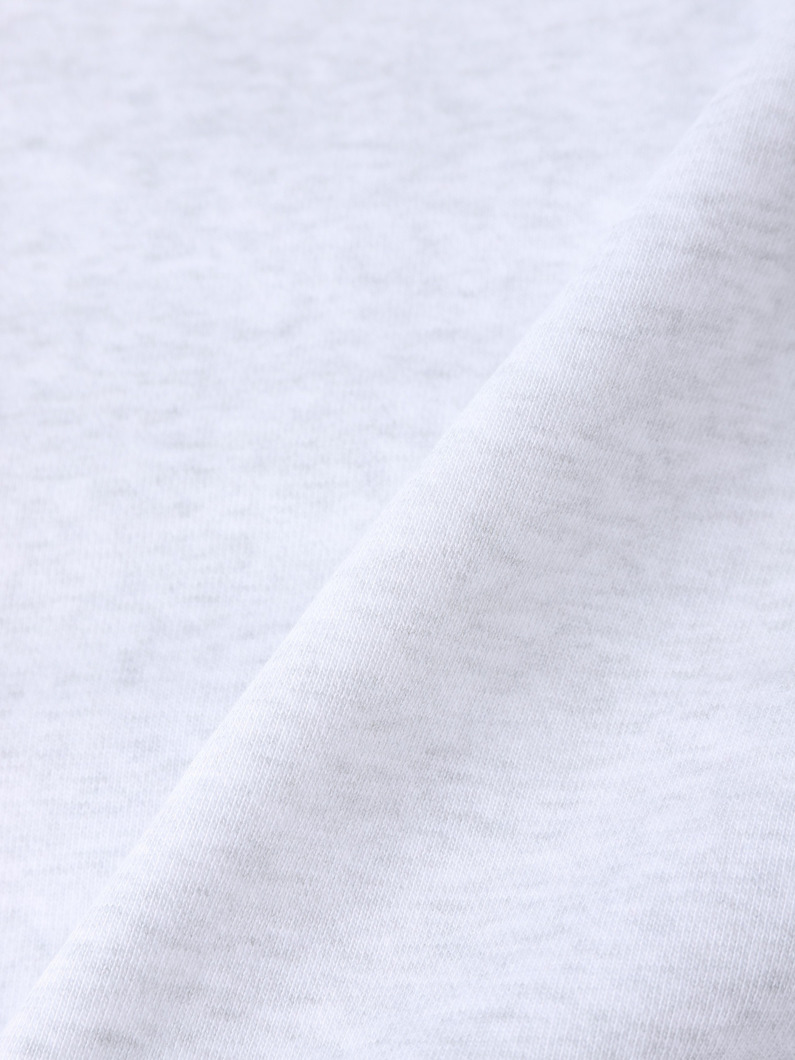 エンブロイダリーロゴ スウェットジップフーディー 詳細画像 gray 5