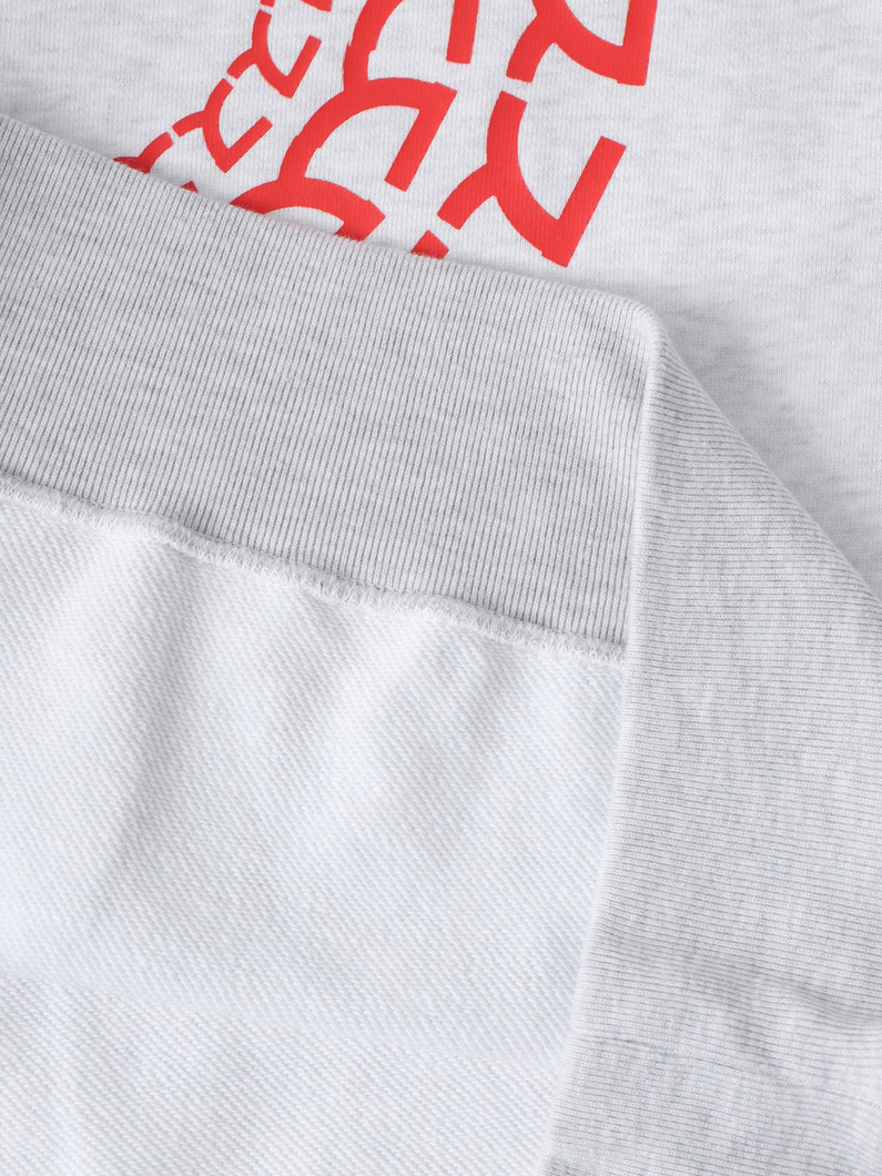 スプレゴ スウェットプルオーバー 詳細画像 gray 4