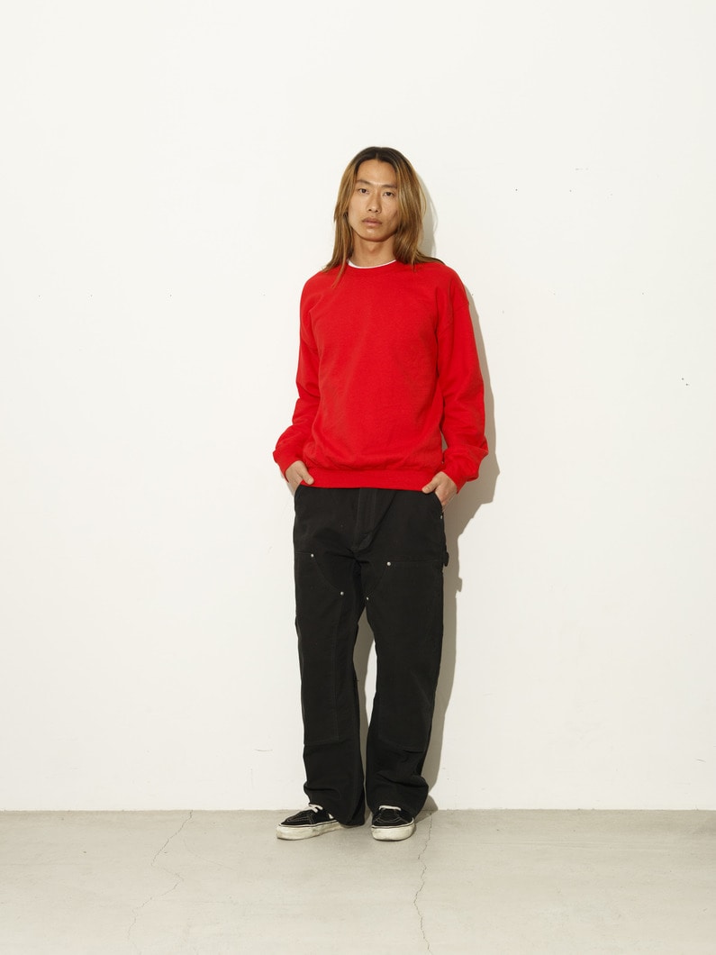 ダブルネームロゴ スウェットプルオーバー 詳細画像 red