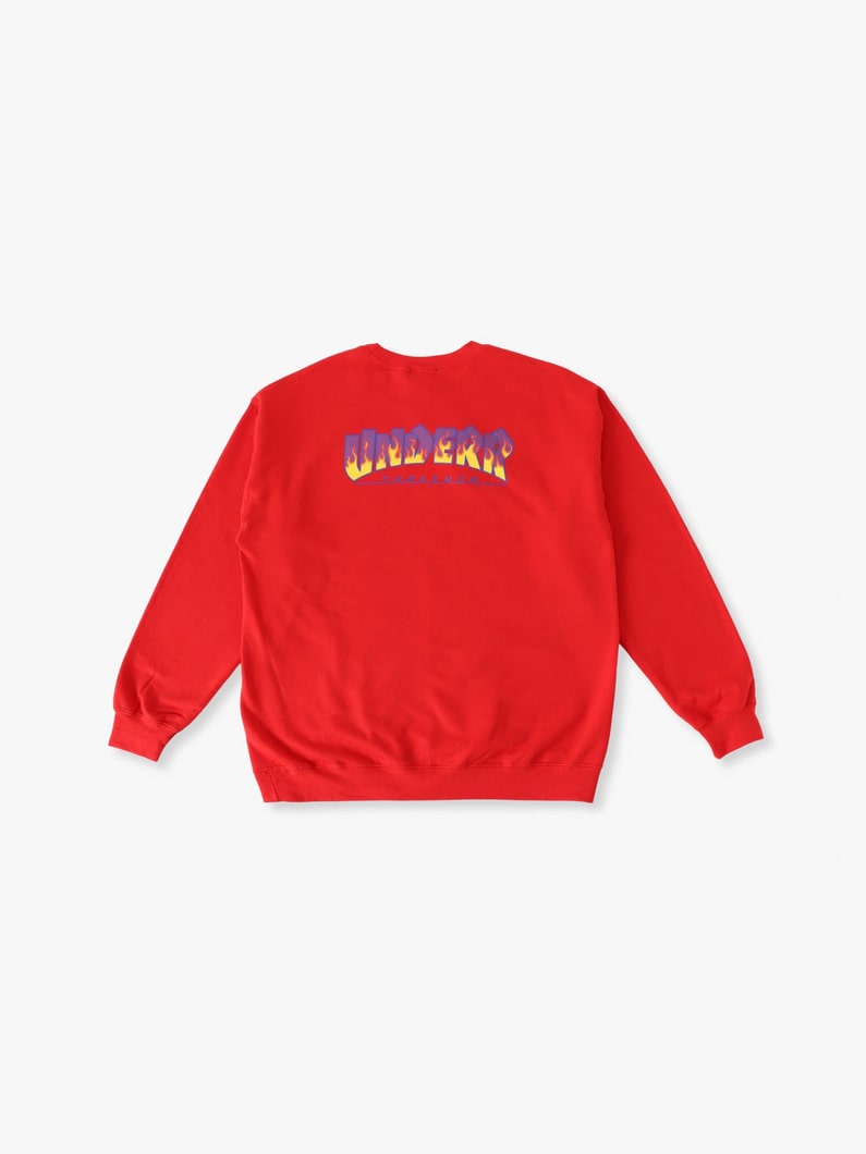 ダブルネームロゴ スウェットプルオーバー 詳細画像 red 4